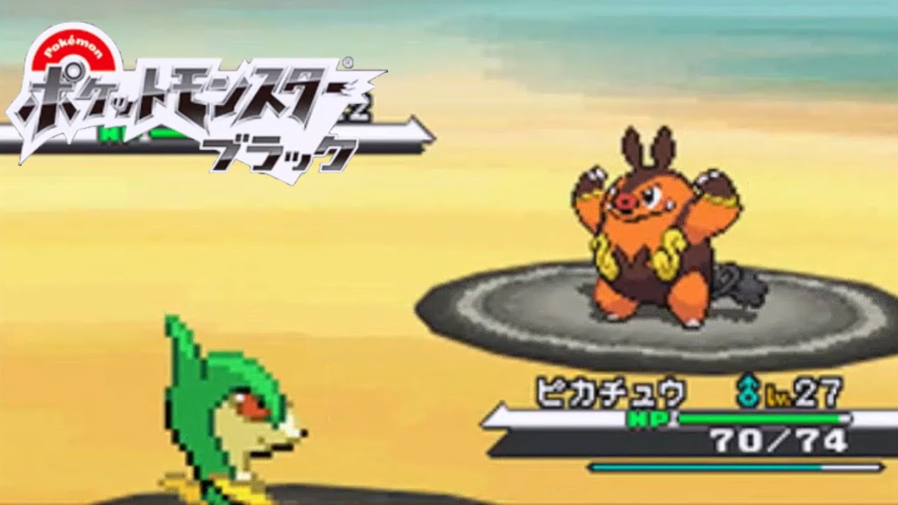 vsちょっと大きい豚肉｜ポケットモンスターブラック#9