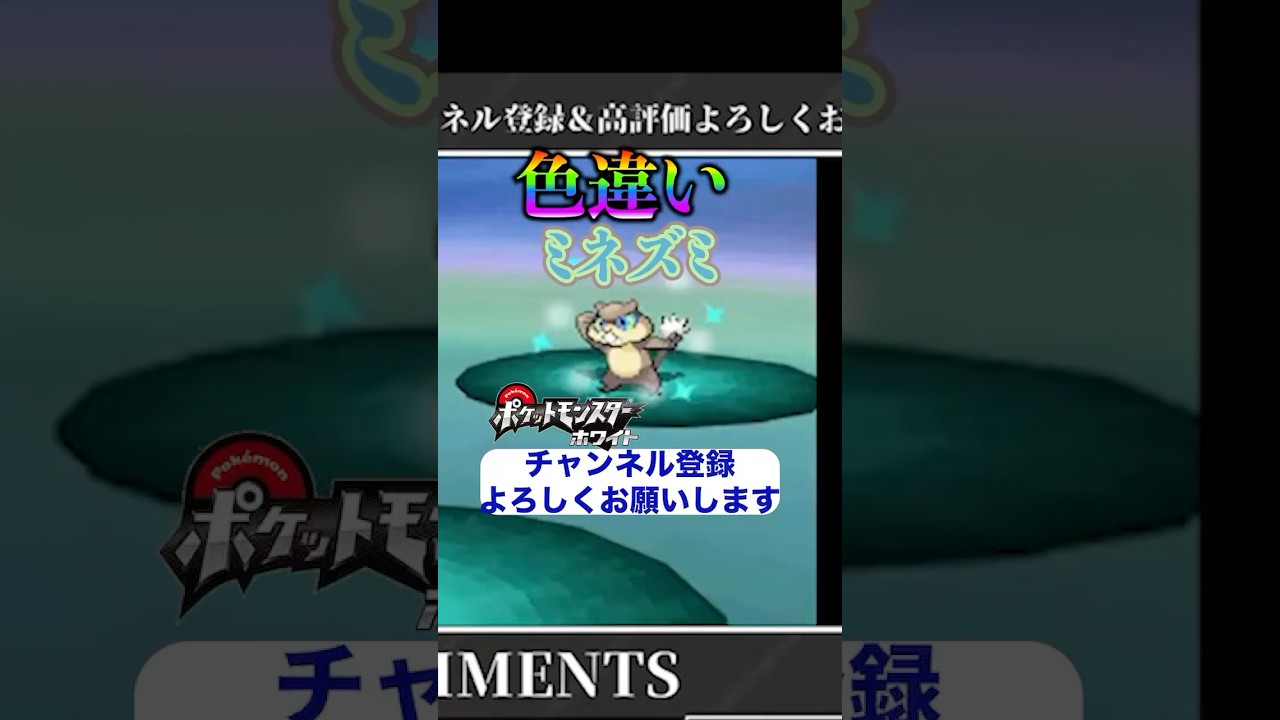 【ポケモンBW】色違いミネズミ再びきたぁぁぁ！相変わらず青目が特徴的だ👏#pokémon #pokemon #ポケモン #野生色違い厳選 #色違い縛り #色違いポケモン #shiny #ゲーム実況