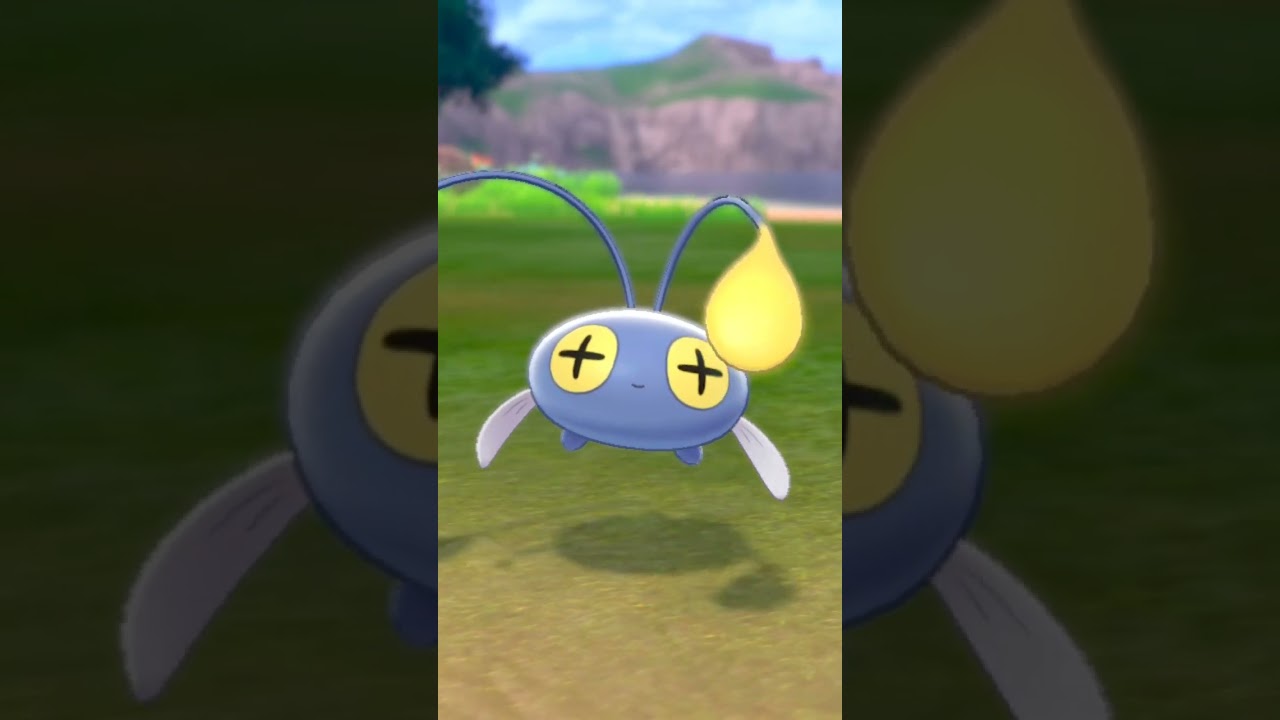 チョンチー Chinchou【ポケモン剣盾】