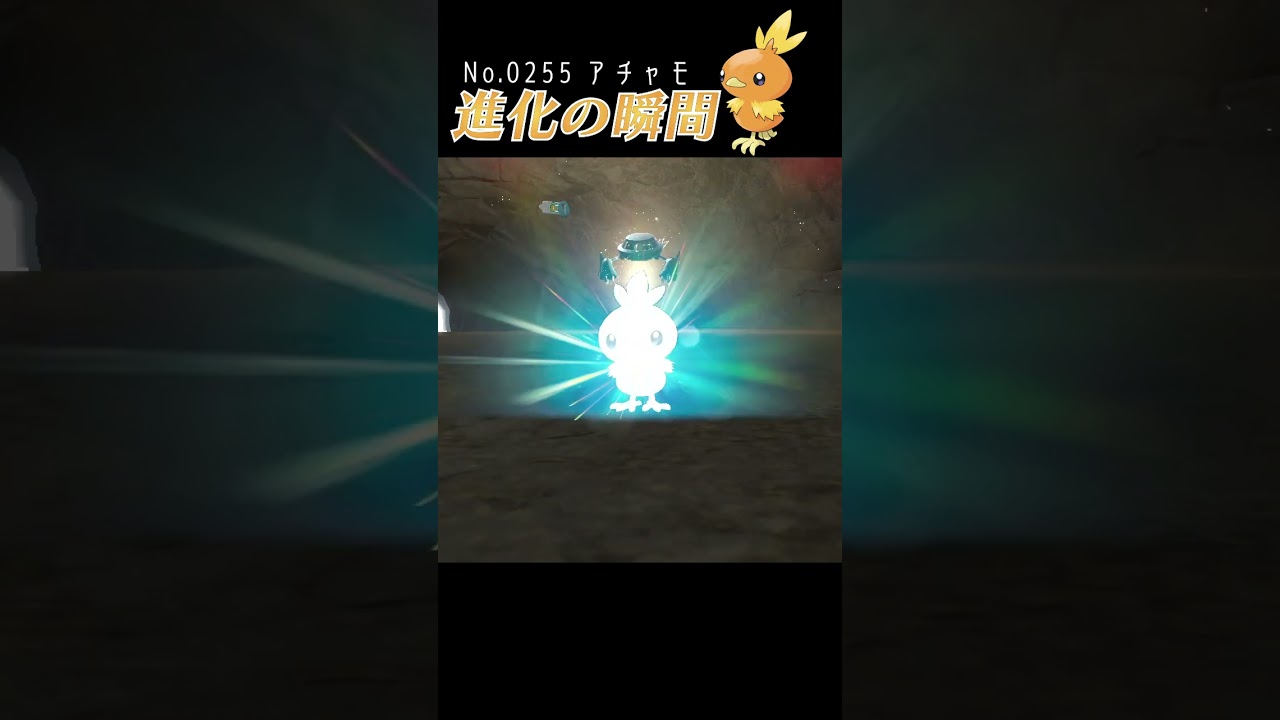 【藍の円盤】アチャモ 進化の瞬間 #shorts