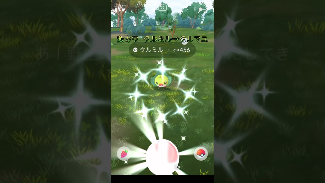 激カワポケモンがあらわれたクルミルからクルマユまで #shorts