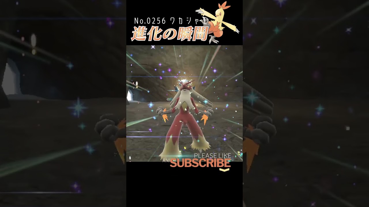 【藍の円盤】ワカシャモ 進化の瞬間 #shorts