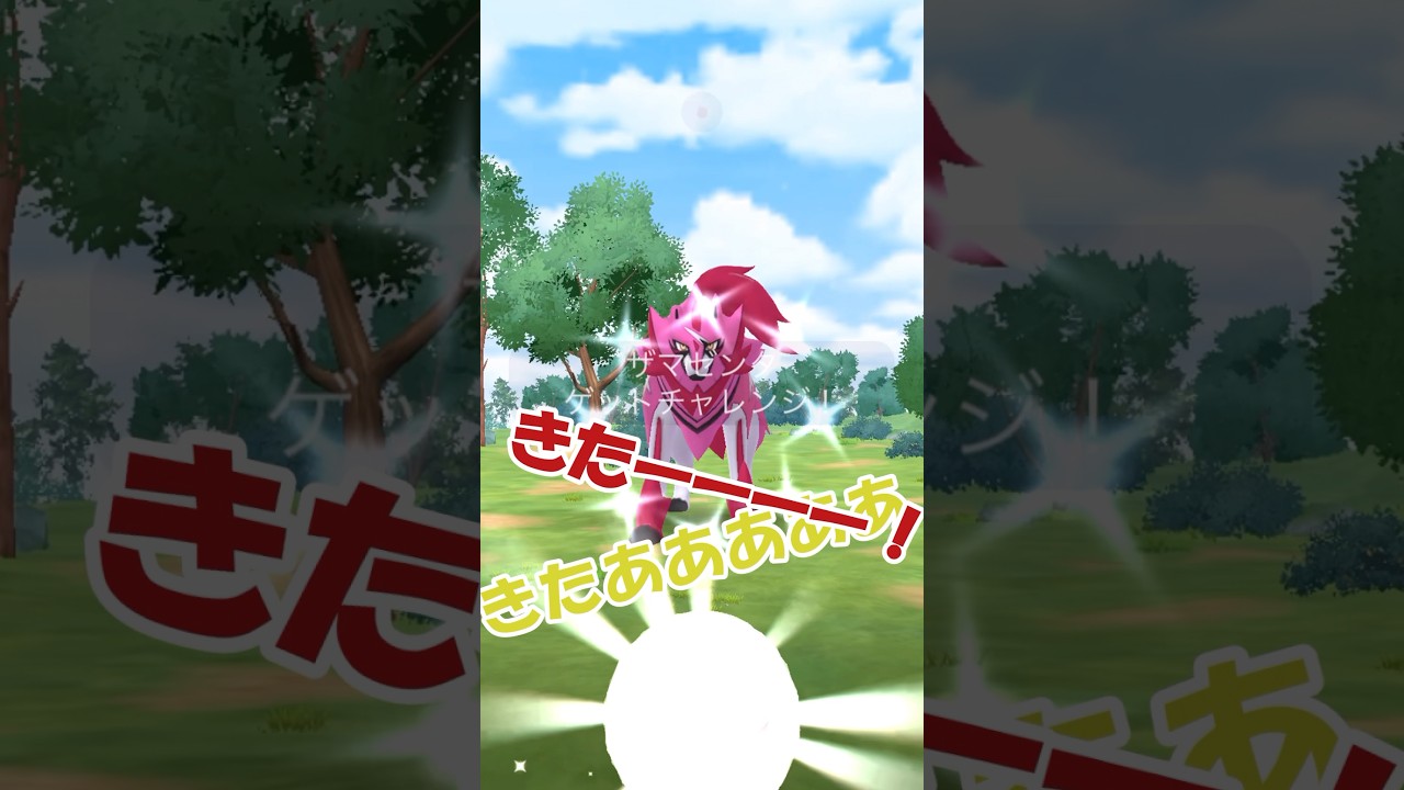 ✨色違いザマゼンタが実装🐶✨ #ポケモンgo #pokemongo # ザマゼンタ