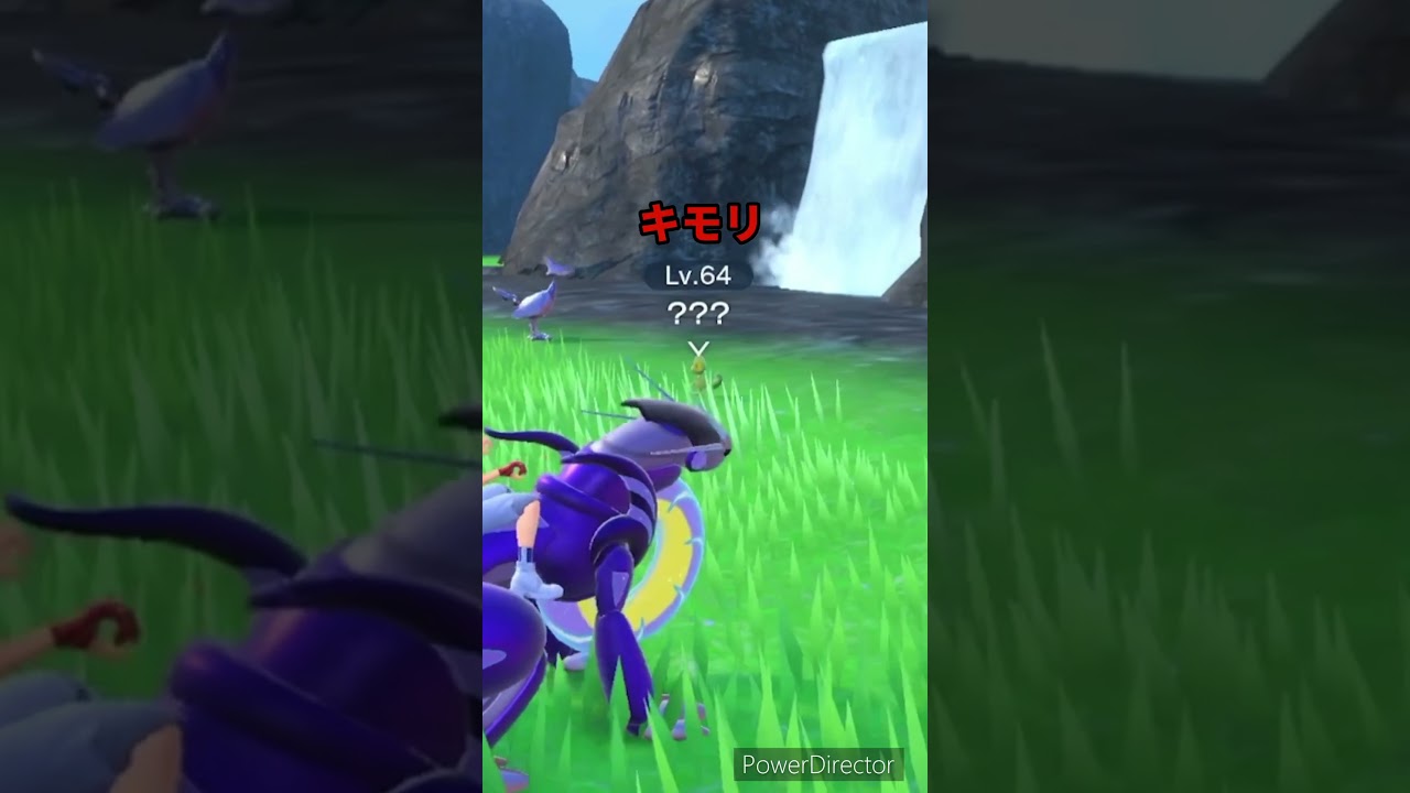 【ポケモンバイオレット】キモリと出会えたのにオノンドに邪魔されたよ　#ポケモンバイオレット #ゲームリハビリ #切り抜き #shorts