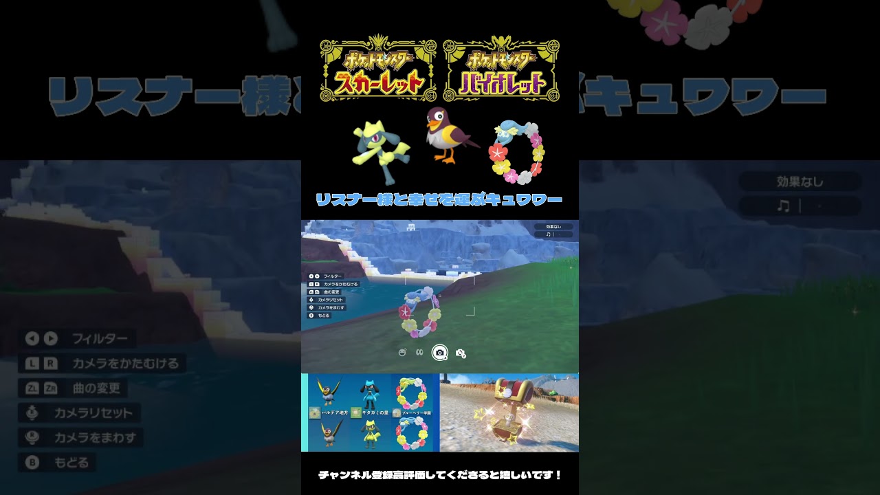 【ポケモンSV】リスナー様の挨拶と共に現れた色キュワワー♀【＃ポケモンSV切抜】【＃ポケモンSV配信】＃Shorts#ポケモンSV