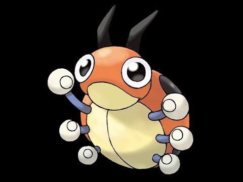 きよらかなもり　レディバ編