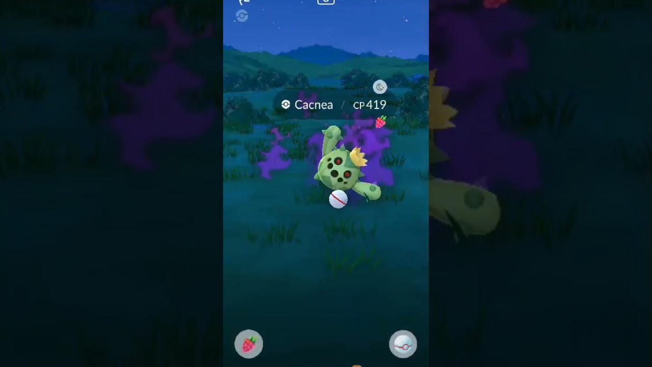 Lucas Selling against a Cacnea 🤣 #pokemongo