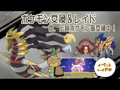 「ドダイトスイベントか～」🔴GOマゼンタ(朽ちた盾付)・色ガチグマ・ギラティナ・海外産メタモン #Pokémon #ポケモンSV #参加型 #配布 11月15日　〖参加レイド〗