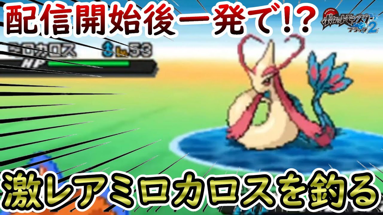 【神回】配信をつけて一発で激レアミロカロスを釣り上げたシーン【ポケモンBW2】