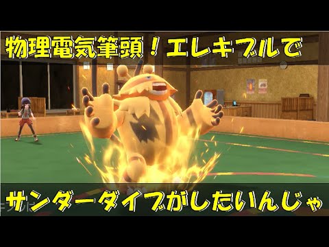 エレキブルでサンダーダイブがしたいんじゃ！！【ポケモンSV対戦環境】