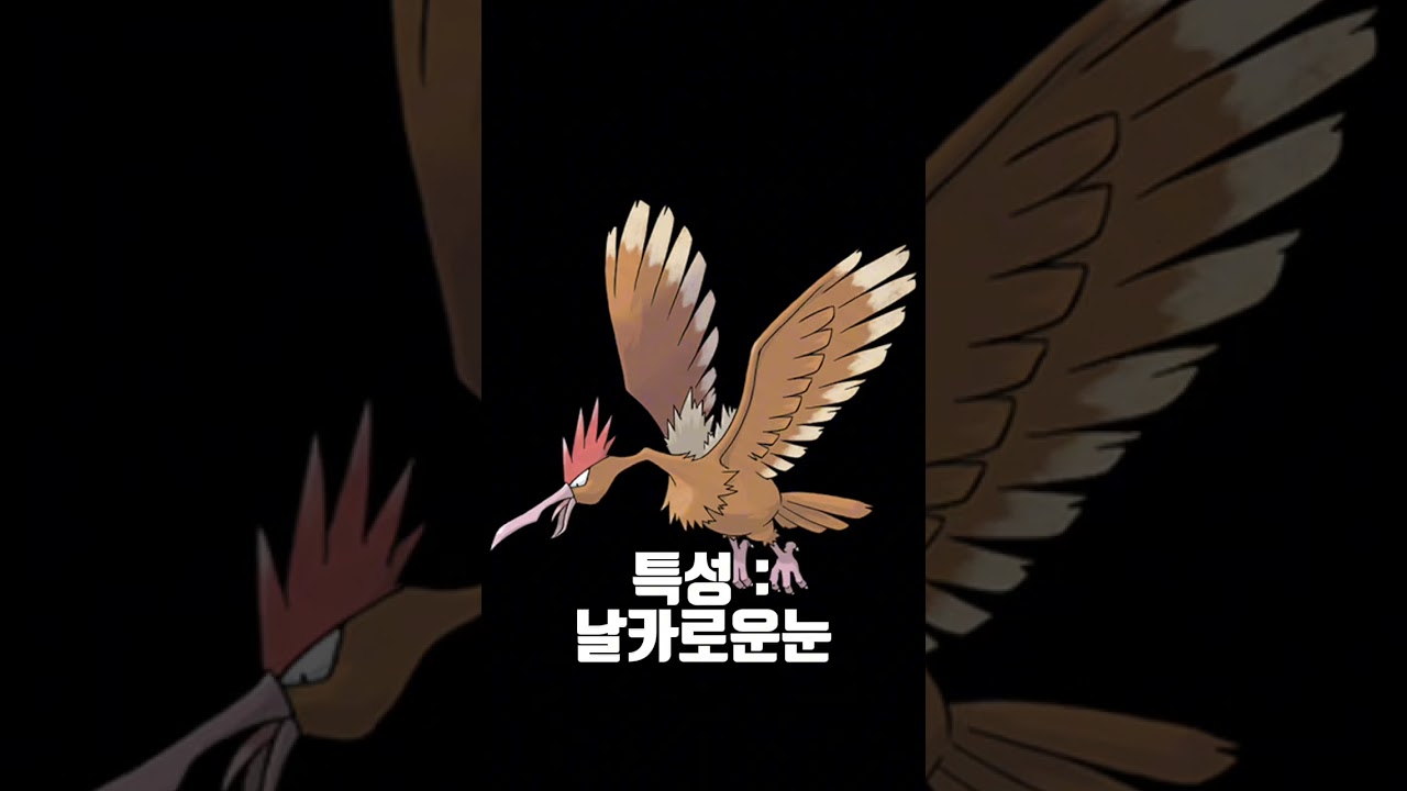 [포켓몬스터] 도감번호 22번 깨비드릴조에 대해 알아보자!