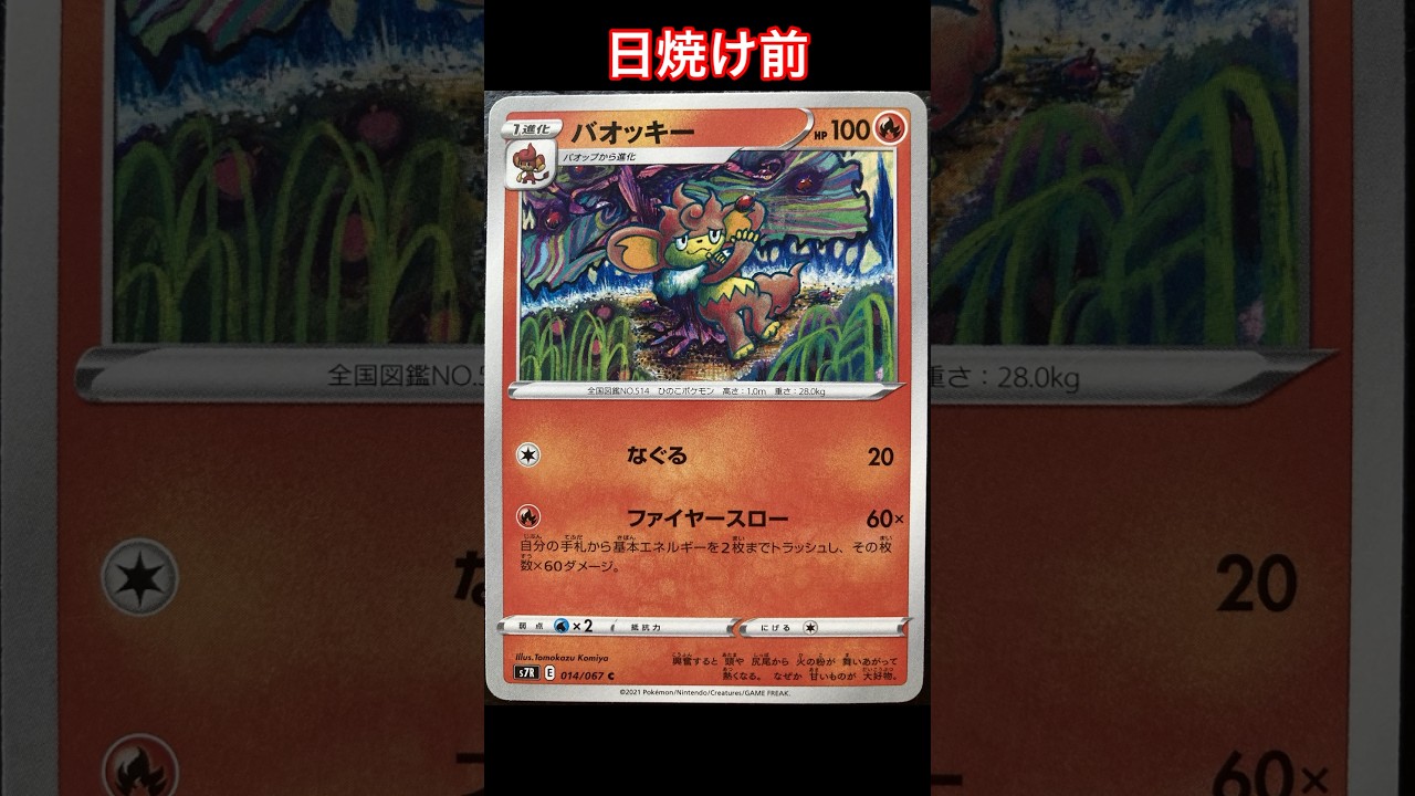 バオッキーの日焼けポケカ