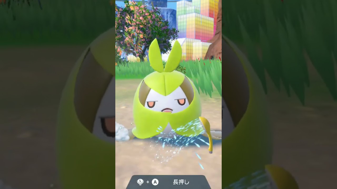 クルマユ 色違い Swadloon【ポケモンSV】