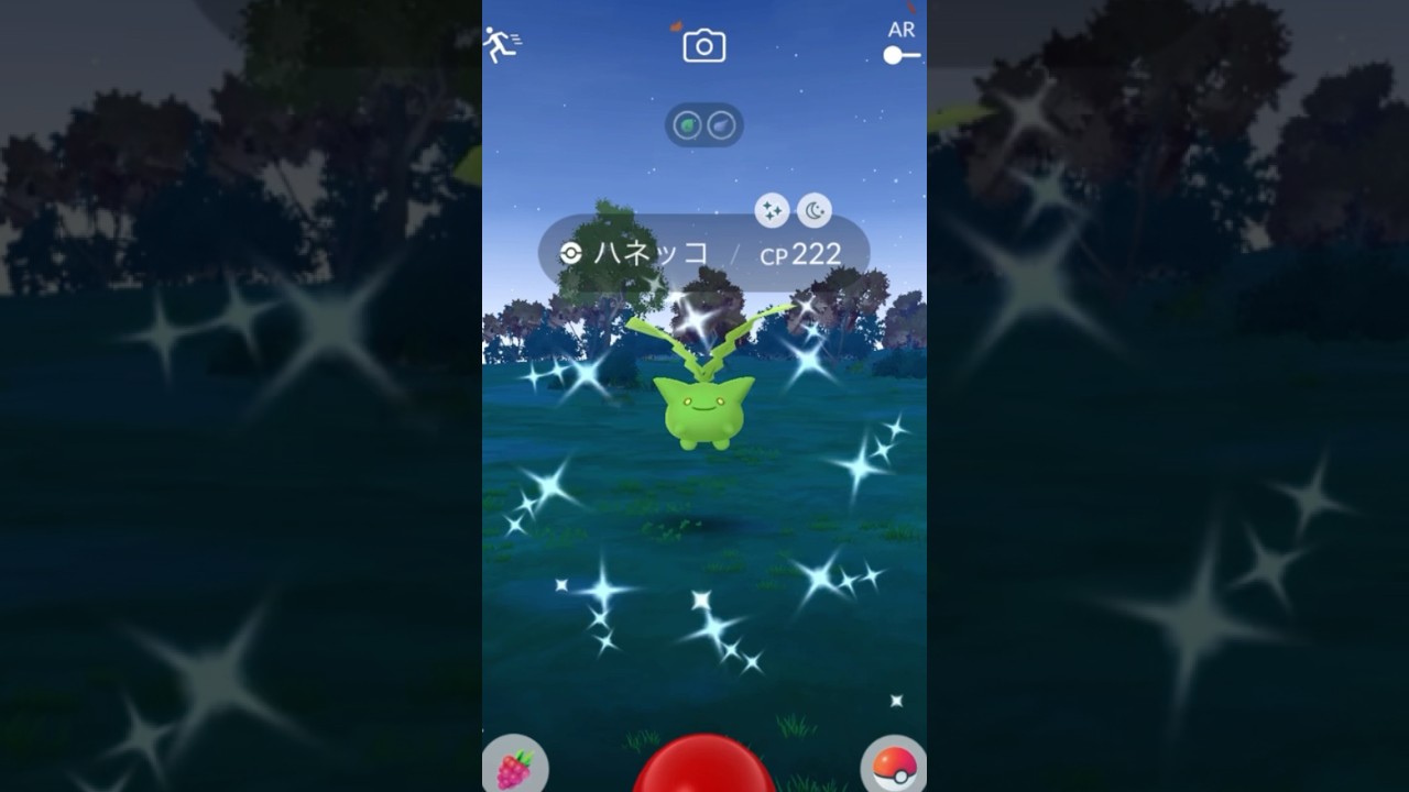 個体値100%色違いハネッコをGET！