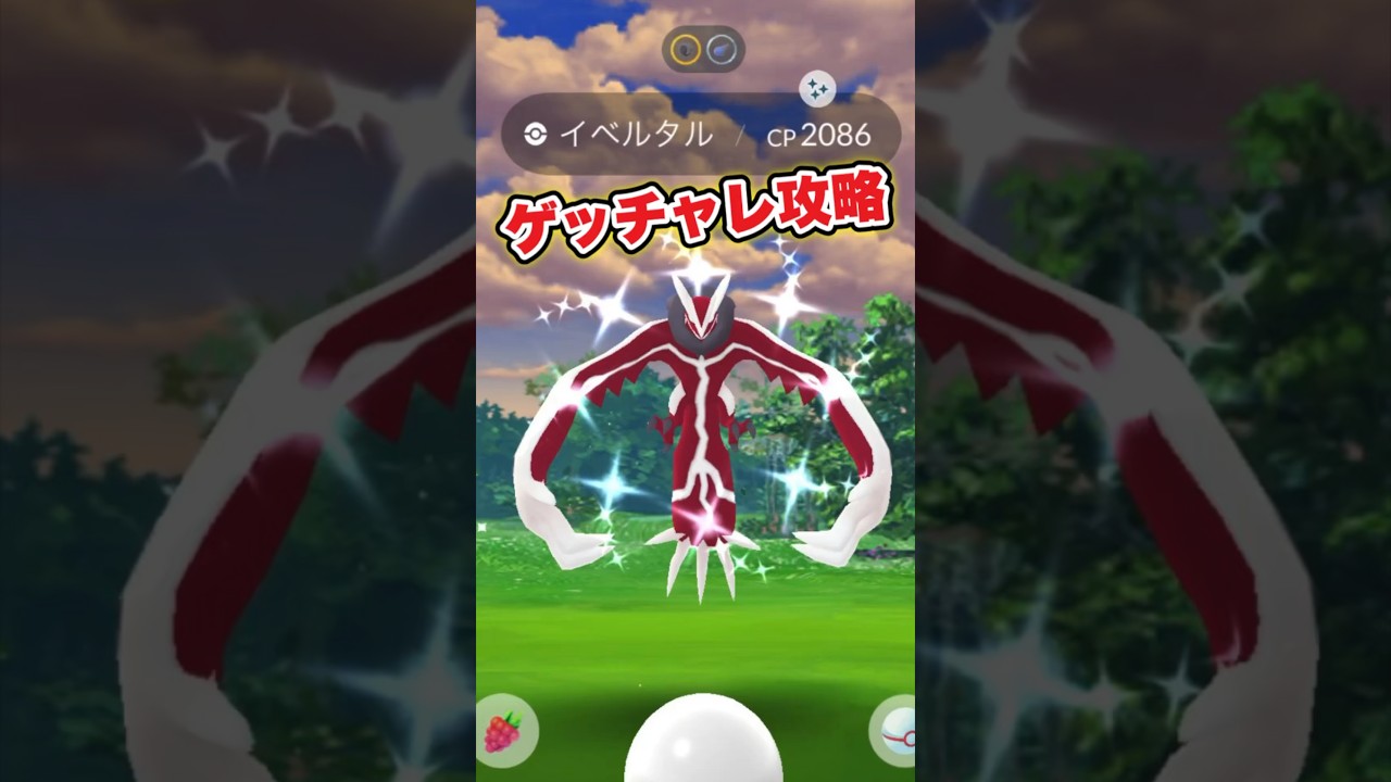 イベルタルゲットチャレンジ攻略法 #shorts #ポケモンGO #イベルタル #レイド #ポケモン #gofest #ポケモンgo