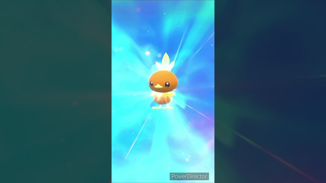 【ポケモンバイオレット】進化　アチャモ→ワカシャモ　#ポケモンバイオレット #ゲームリハビリ #切り抜き #shorts