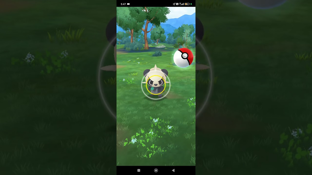 (Daily Adventure Incense) Pancham in the wild #pokemongo #pokemon #charizardx #charmender #pancham