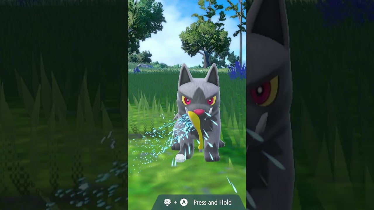 Poochyena Washing #SV #gaming #shorts