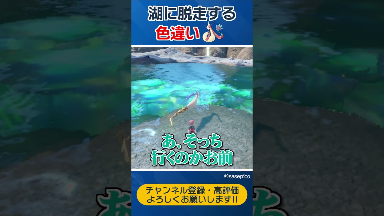 【ポケモンSV】視聴者に色違いミロカロスを自慢しようとしたら逃げられたｗｗｗ【させぴこ】