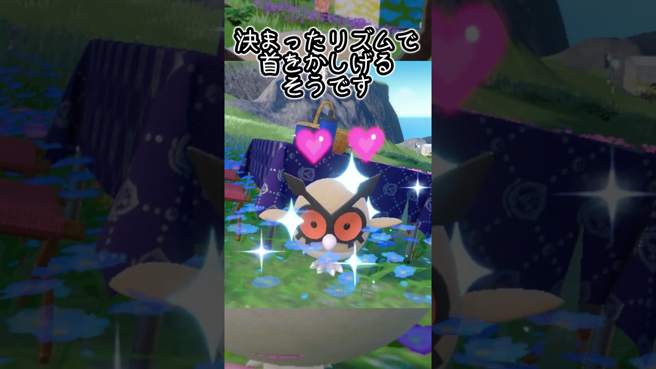 ホーホー6匹とピクニック【ポケモンSV】#Shorts