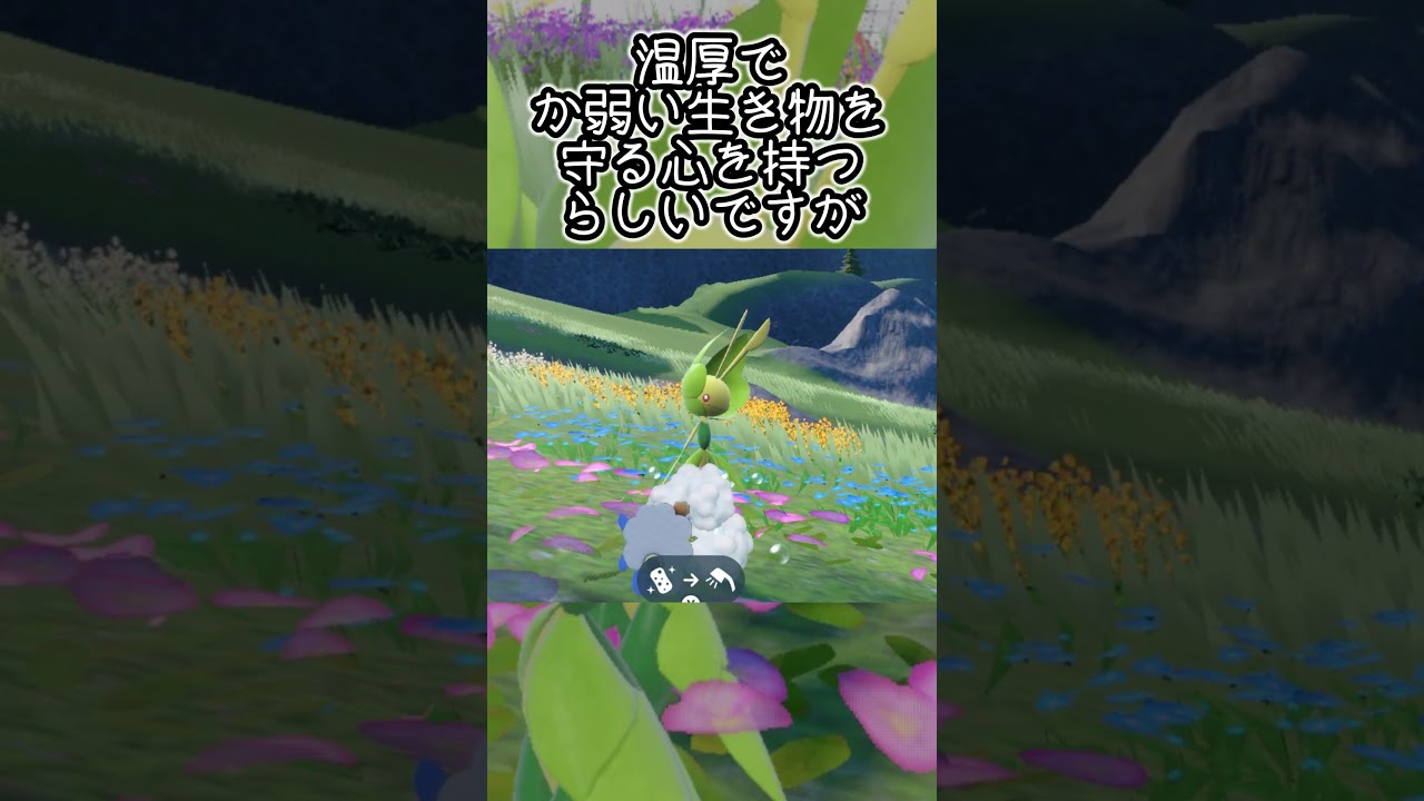 ハハコモリ6匹とピクニック【ポケモンSV】#Shorts