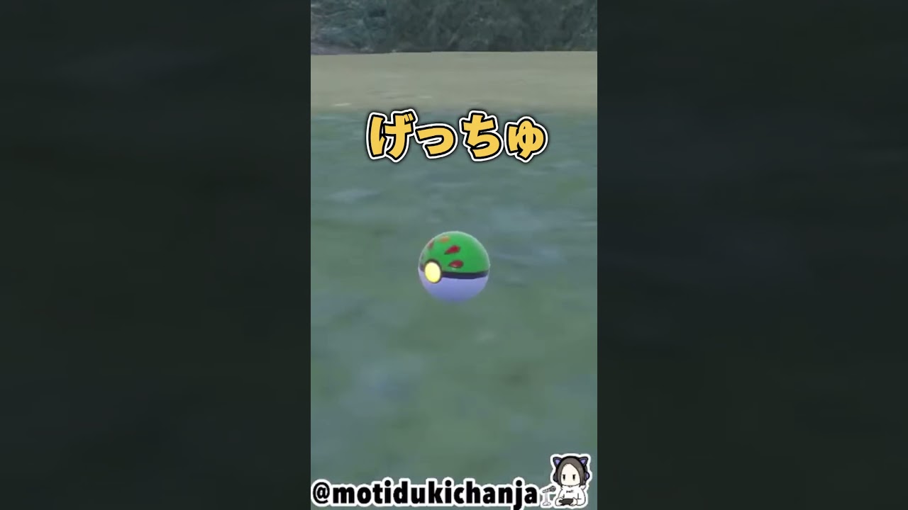 タツベイの色証厳選 #ポケモンsv