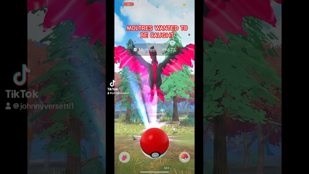 Moltres wanted an excellent throw 🥲 #pokemon #pokemongo #galarianbird #shinypokemon #shinyhunting