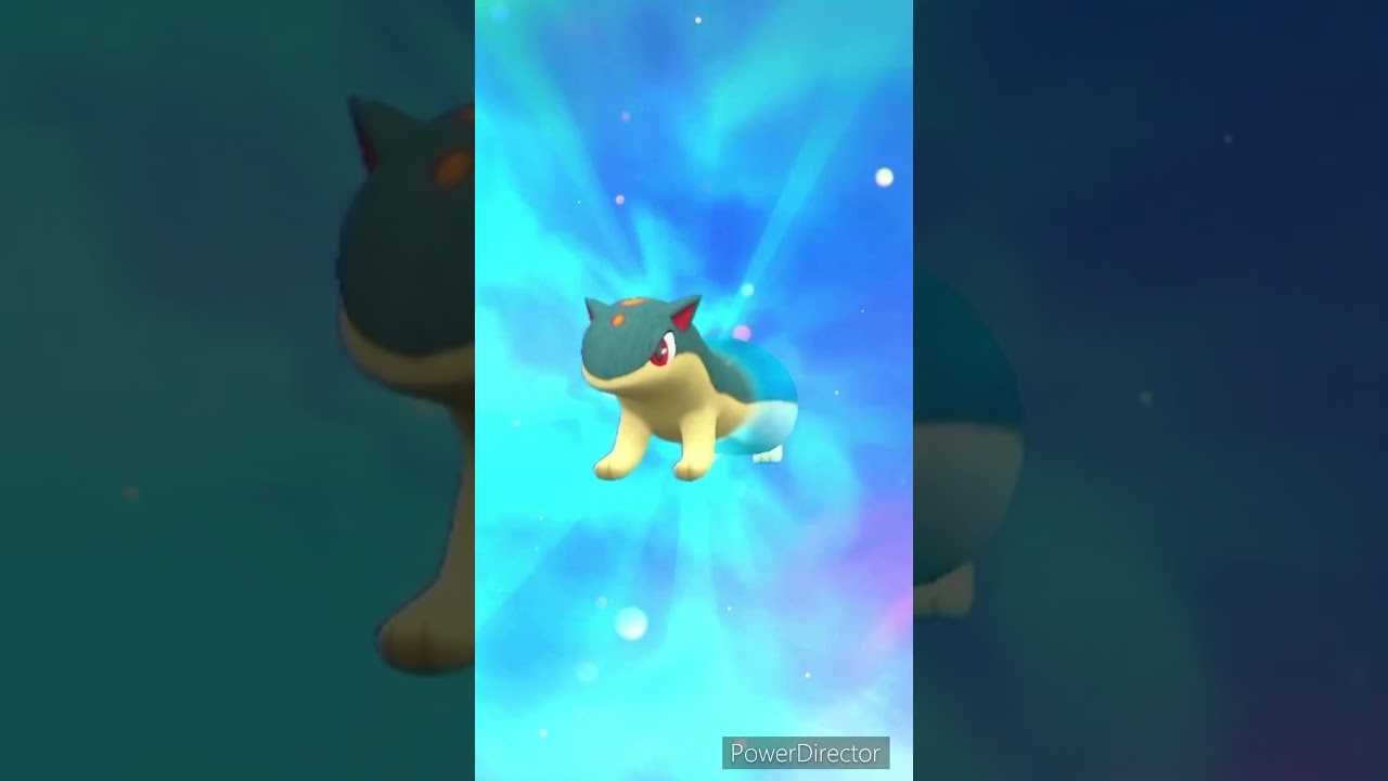 【ポケモンバイオレット】進化　マグマラシ→バクフーン　#ポケモンバイオレット #ゲームリハビリ #切り抜き #shorts