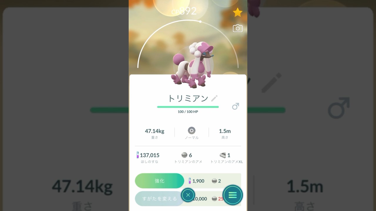 【 ポケモンgo 】 トリミアン →すがたを変える 「 マダムカット 」【 うさぴよの巣 】#furfrou #pokemongo #ポケモンgo #マダムカット