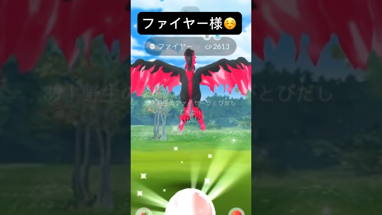 【ポケモンGO】ガラルファイヤー発見! 裏技でゲットできるか検証してみたら!?「ガラル三鳥シリーズ第7弾!」【Pokémon GO】