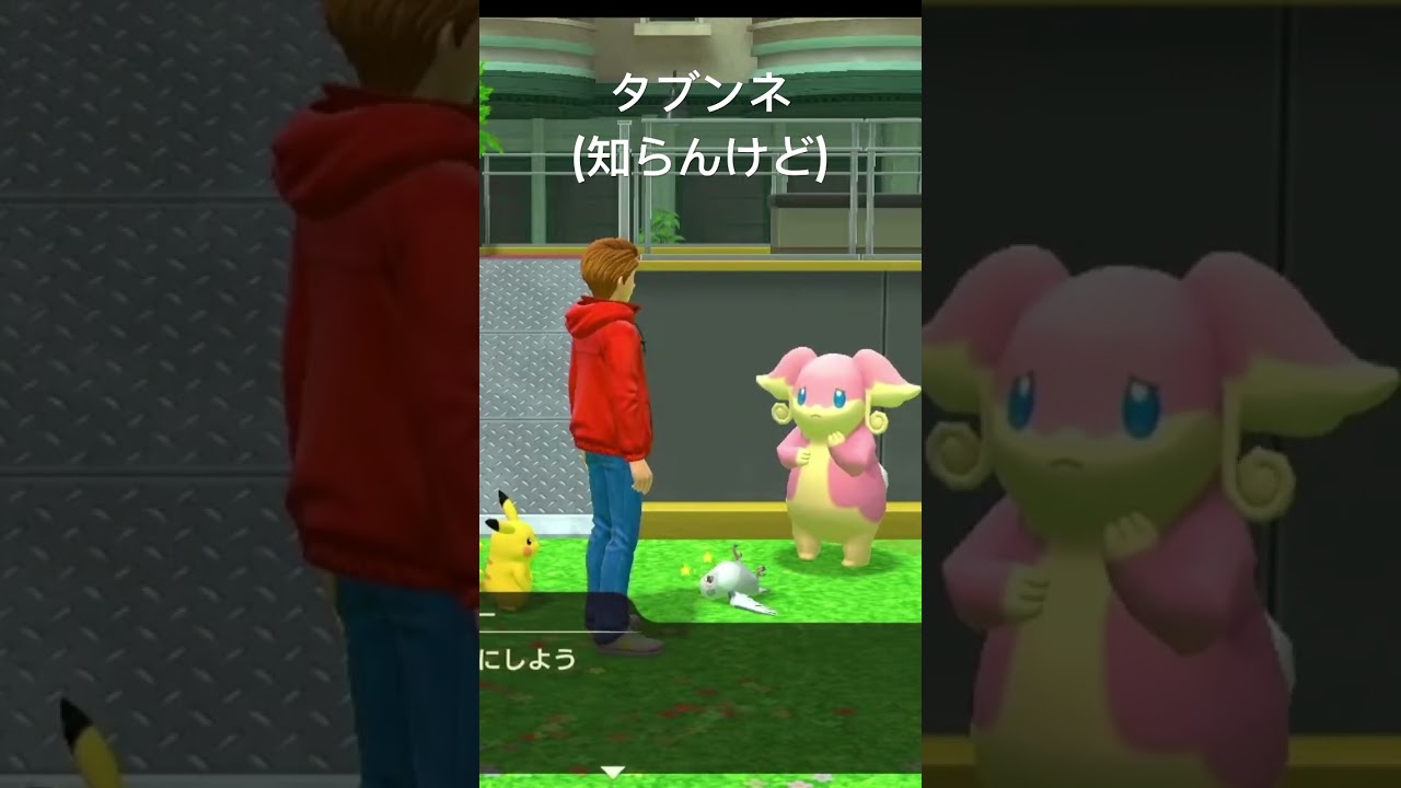 タブンネ(知らんけど)