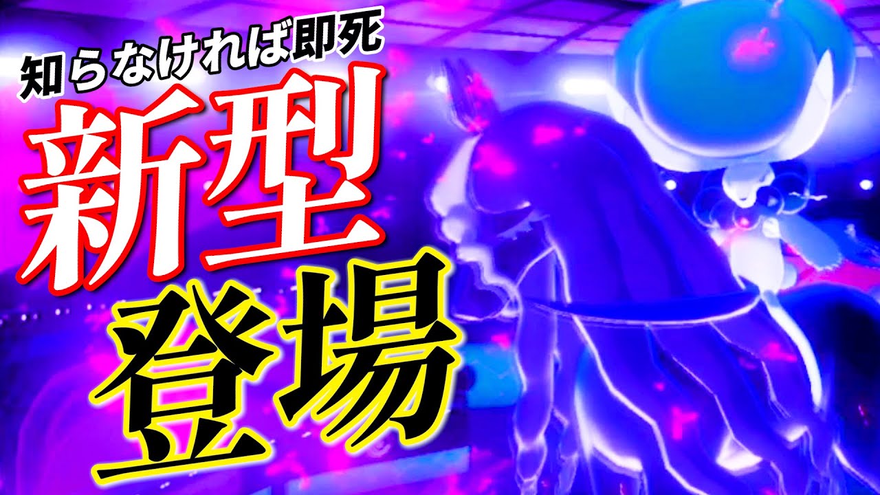 【1番簡単に勝つ方法】脳筋！ゴリ押し！単純作業！黒馬の理不尽さが分かるアグロ構築に要注意！！！｜ダブルバトル【ポケモンSV】