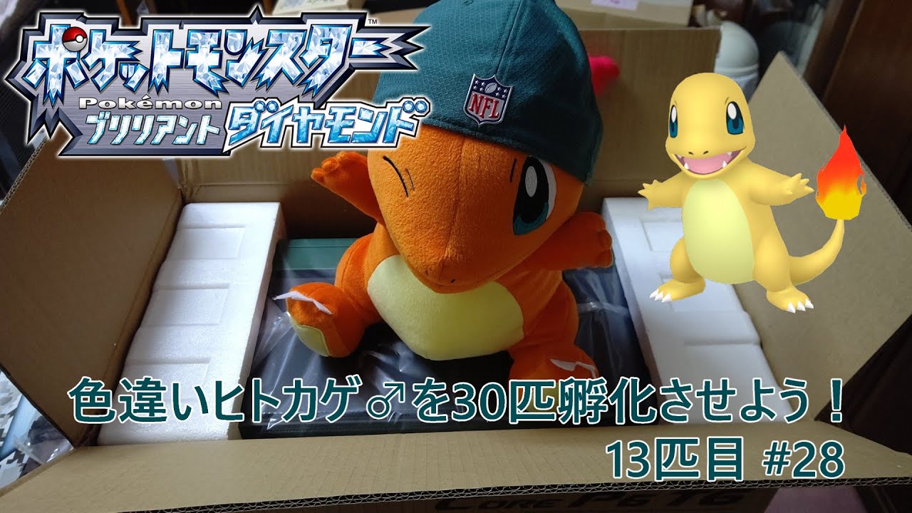 【ポケモンBDSP】色違いヒトカゲ♂を30匹孵化させよう！【色違い】 13匹目 #28