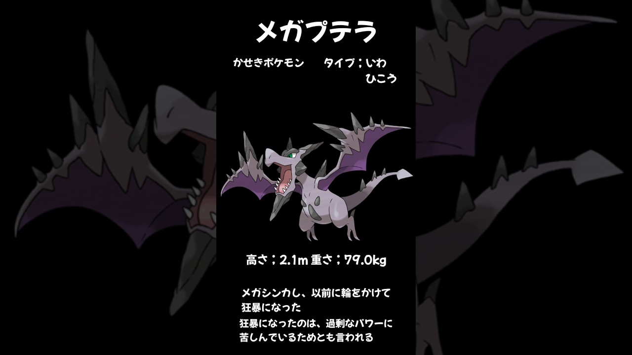 就寝前の夫婦でポケモン講座【メガプテラ】毎日投稿18日目