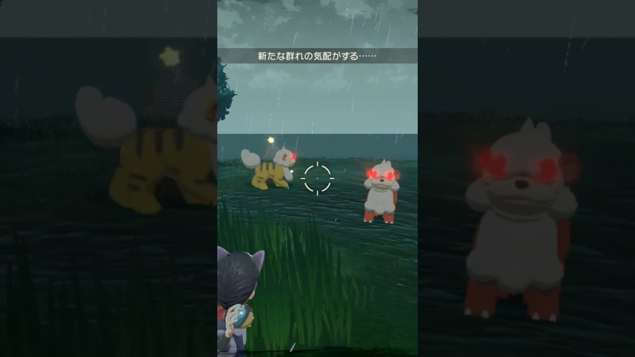 モフモフ可愛いモフカワ系ポケモン🐶色違いヒスイガーディ親分【ポケモンレジェンズアルセウス】#shorts #色違い厳選 #pokemon