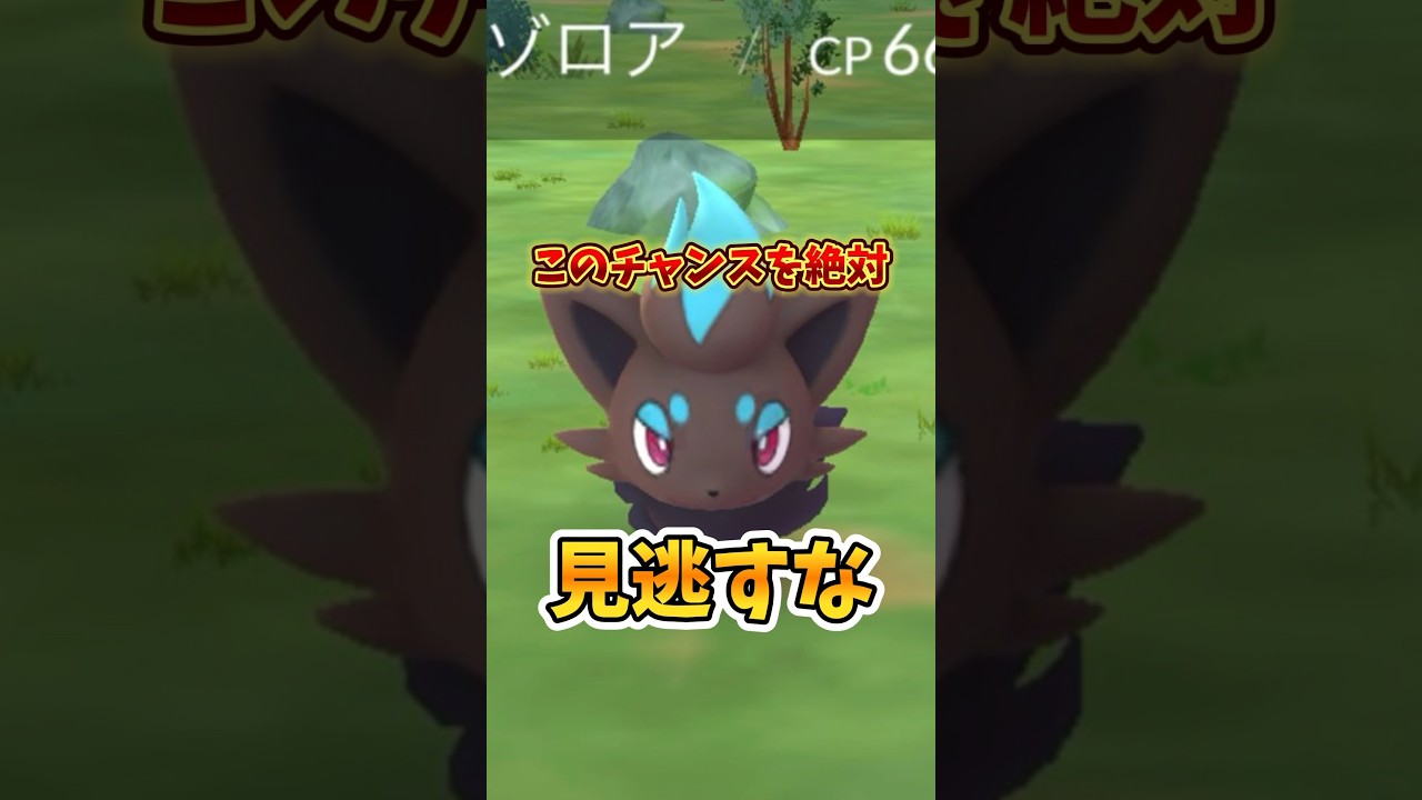 ⚠️ミスると3年間は後悔⚠️ボーナス激アツのポケモンGOのハロウィンイベントが登場！色違いゾロア確率アップ！その他もアツい！【ポケモンGO】 #ポケモンgo #ハロウィンイベントパート1