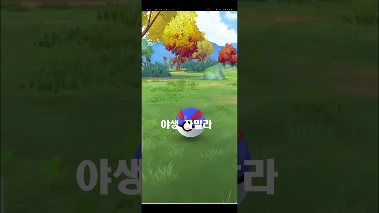 야생 자말라 과연 백짜리?? #게임유튜버 #포켓몬 #pokemongo