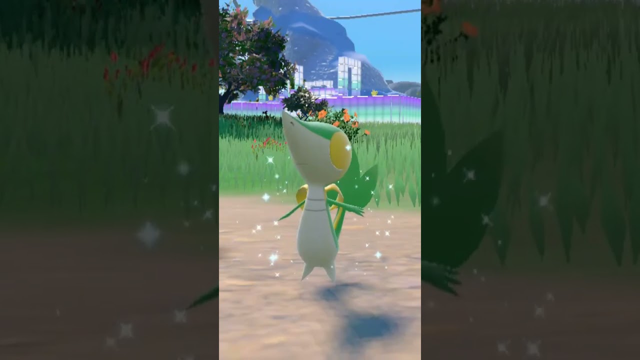 ツタージャ Snivy【ポケモンsv】
