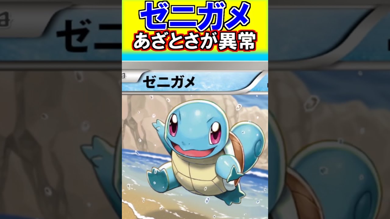 【かわいさ異常！】ゼニガメがあざとすぎるんだけど…　#Shorts