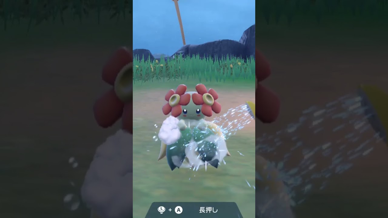 キレイハナ Bellossom【ポケモンsv】