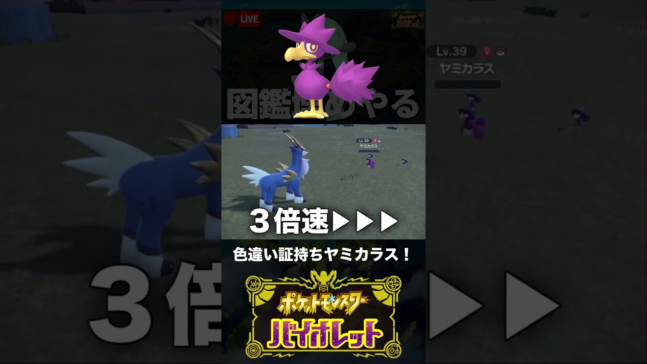 図鑑埋め中に色証ヤミカラスと邂逅し迷いが生まれる主人公【ポケモンSV】 #shorts