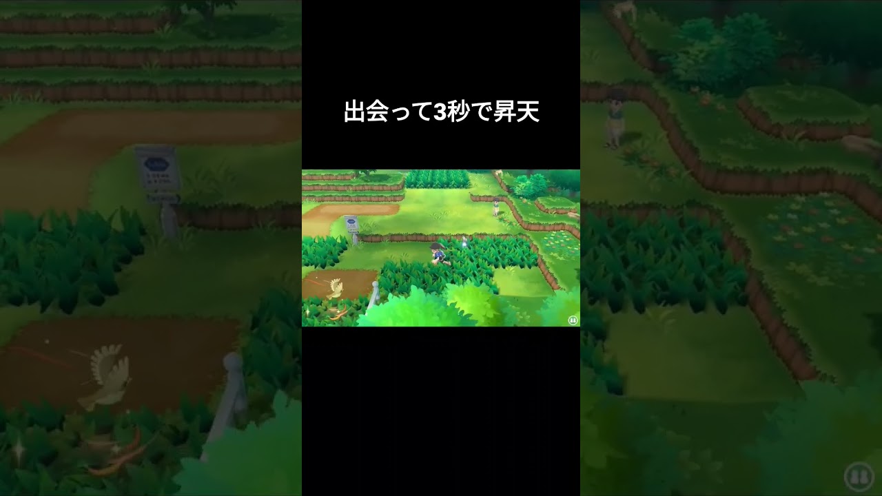 【ポケモンピカブイ】色違いポッポ逃げるの速すぎ😭