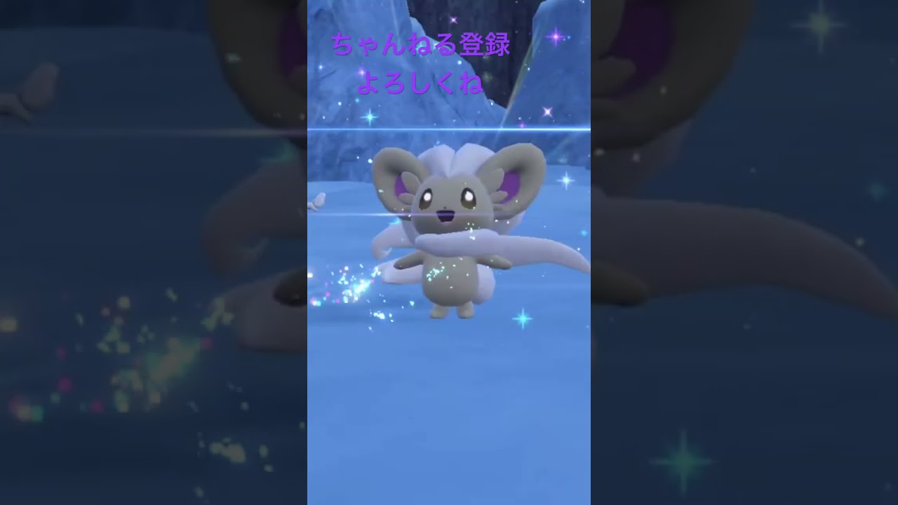 色違いチラーミィ進化!