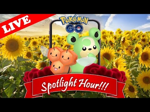 【🔴LIVE】スポライ: ヒメグマ&ミツハニー大量発生!! 「✨色違いゲットだぜ!!✨」【スポットライトアワー】【ポケモンGO】