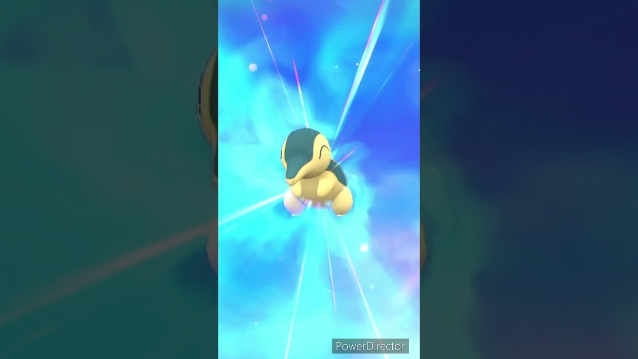 【ポケモンバイオレット】進化　ヒノアラシ→マグマラシ　#ポケモンバイオレット #ゲームリハビリ #切り抜き #shorts