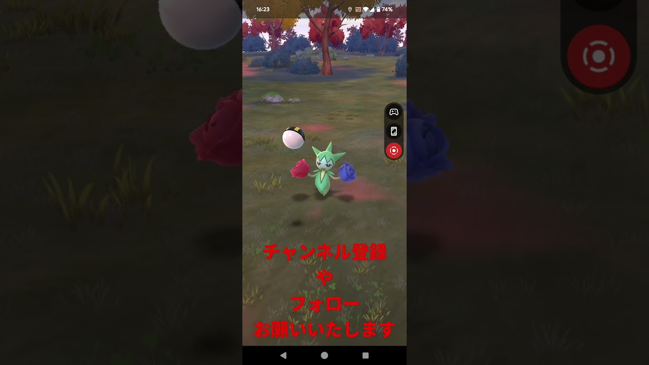 20241119のポケモンgo-4のロゼリア