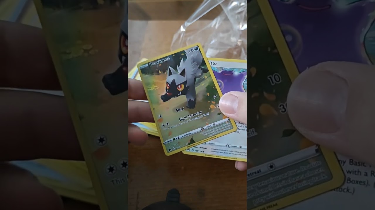Stellar Crown Poochyena looks cute ! #pokemon #pokemontcg #pokemoncards #silvertempest