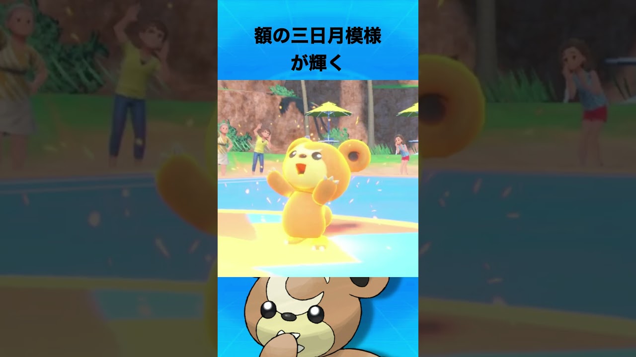 ヒメグマについて #ポケモン #ヒメグマ