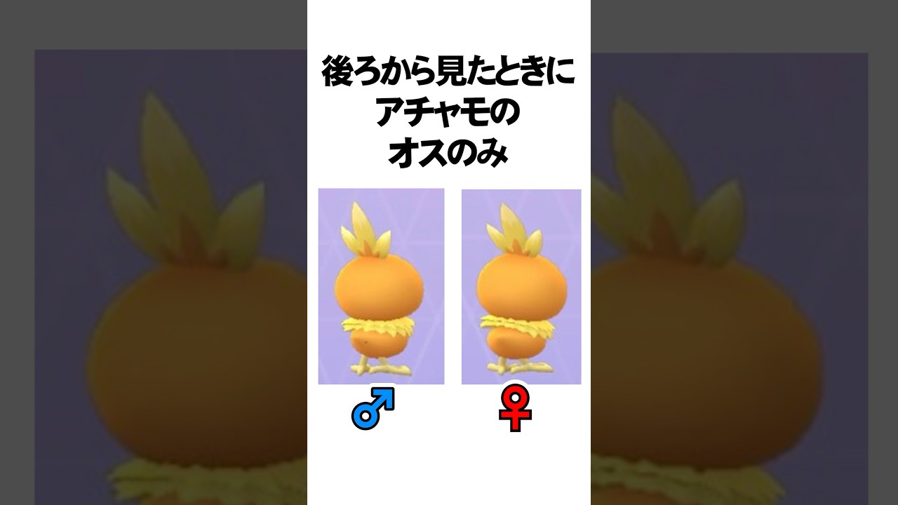 気づいた人はガチ！オスメスに違いがあるポケモン7選　#Shorts
