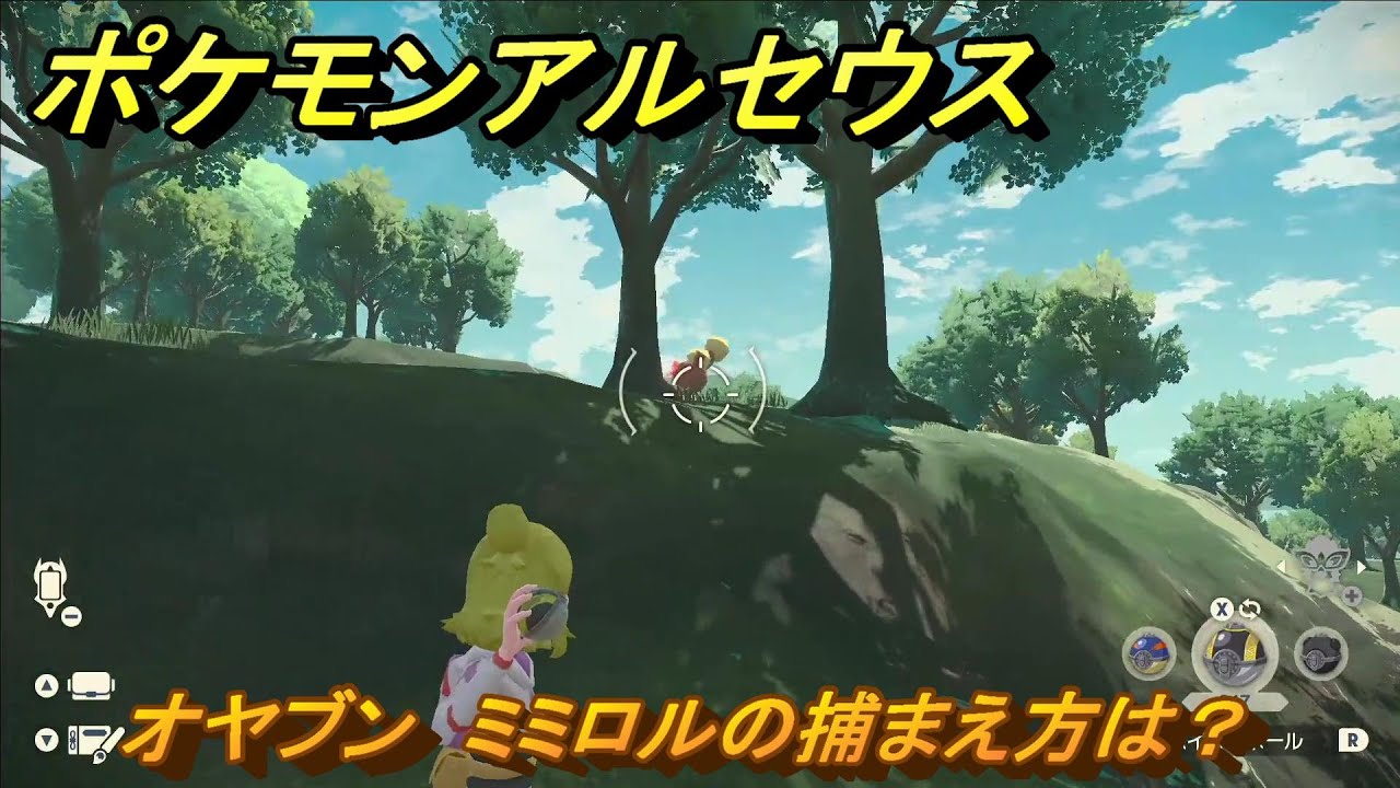 ポケモンアルセウス　オヤブン　ミミロルの捕まえ方は？出現場所は？　＃５６７　【Pokémon LEGENDS アルセウス】